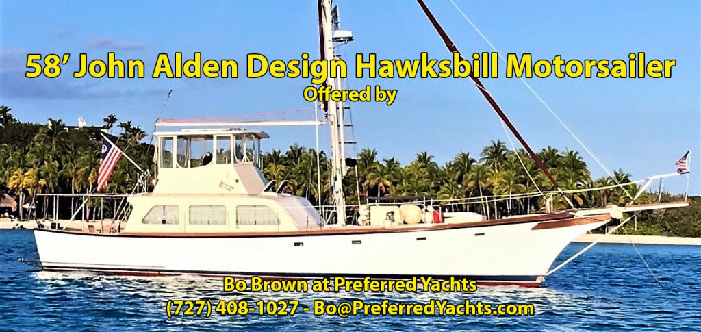 Hawksbill 58
